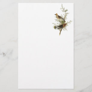 Papier Cèdre à cire, John Audubon