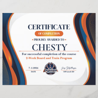 Papier Certificat #13