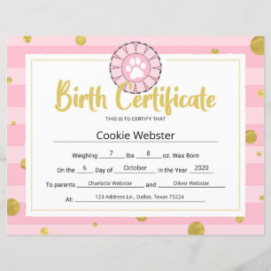 Papier Certificat de naissance de chiot Clip Art Patte de