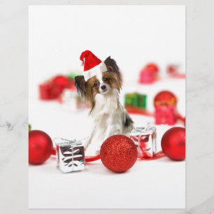 Papier Chapeau de Santa de Noël de chien Papillon mignon