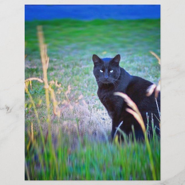 Papier Chat Noir (Devant)