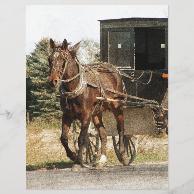 Papier Cheval Amish et Buggy (Devant)