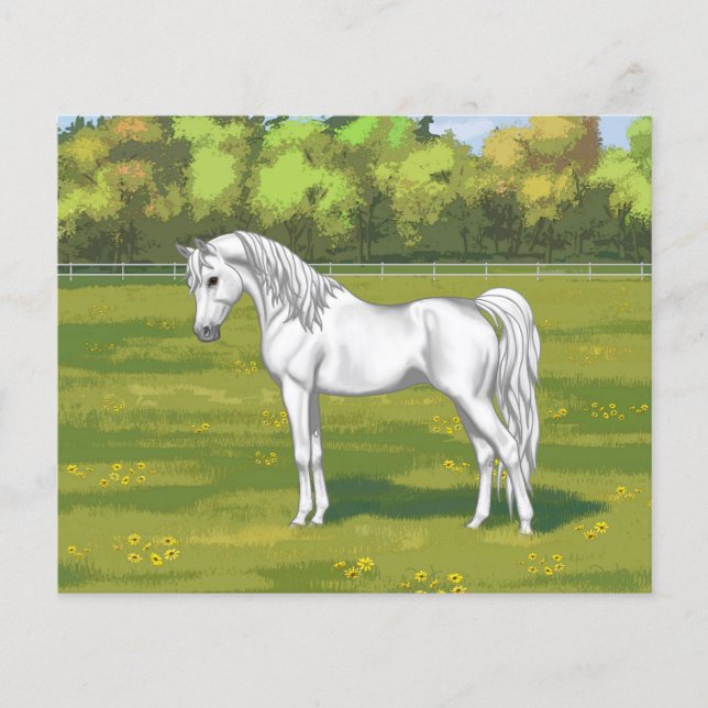 Papier Cheval blanc égyptien arabe dans les pâturages d'é (Devant)
