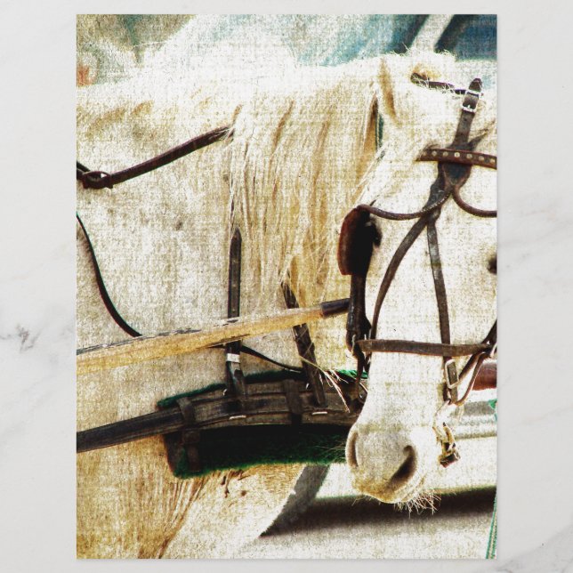 Papier Cheval Buggy Amish Grey (Devant)