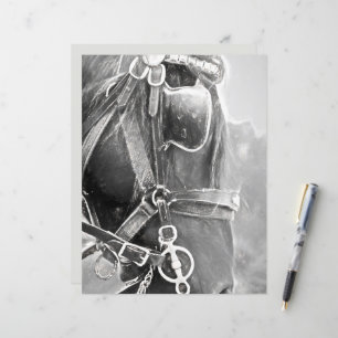 Papier Cheval Ouest Rustique Noir Et Blanc Vintage Art