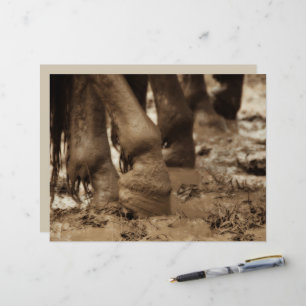 Papier Cheval Pieds Ouest Sepia Vintage Brown Rustique