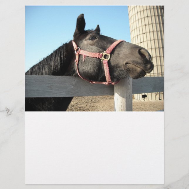 Papier Cheval/Ranch/Grange (Devant)