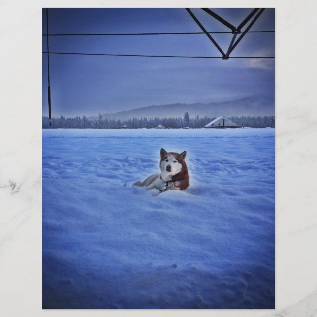 Papier chien mignon dans la neige (Devant)