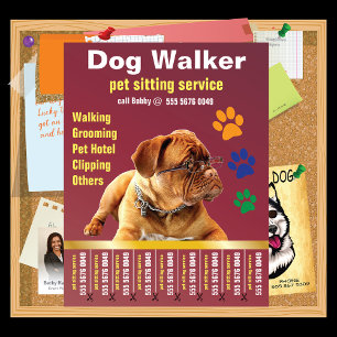Papier Chien Walker Soins dignes de confiance Animaux de 