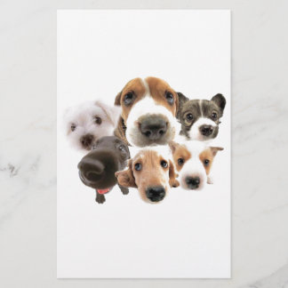 Papier Chiens