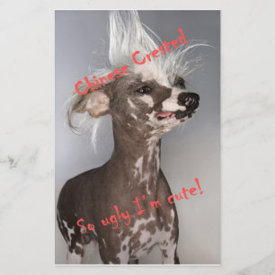Papier Chinese Crested So Ugly I'm Cute