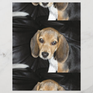 Papier Chiot beagle 2
