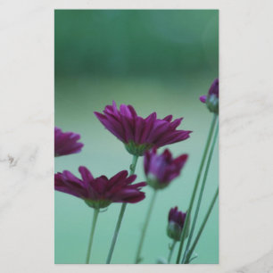 Papier Chrysanthème et signification