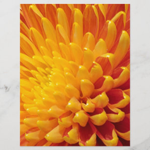 Papier Chrysanthème jaune et orange