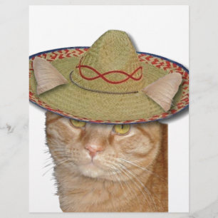 Papier Cinco de Gato