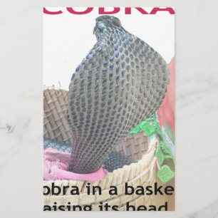 Papier Cobra dans un panier Prêt à cracher le feu