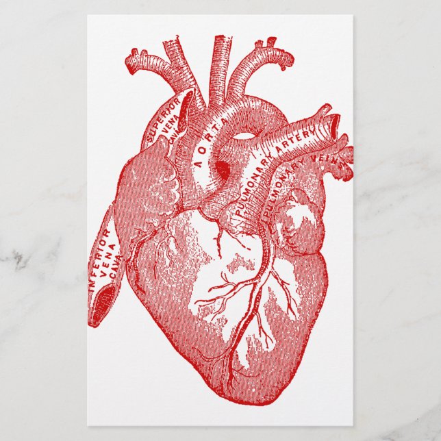 Papier Cœur Anatomique Antique Rouge (Devant)
