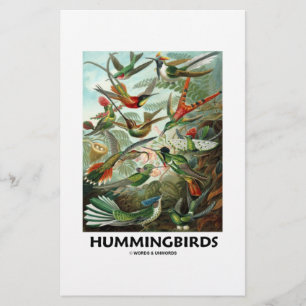 Papier Colibri