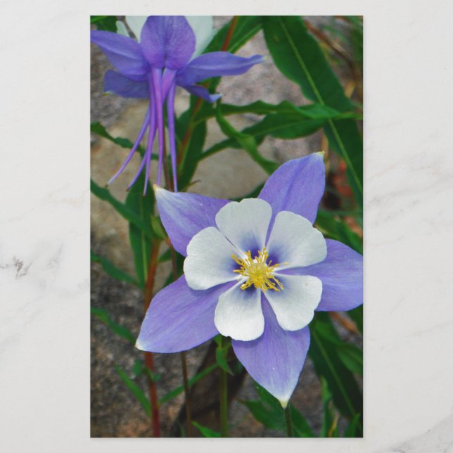 Papier Colonne bleue (Devant)