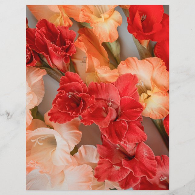 Papier Colorful Gladiolus Flowers Scrapbook Paper (Devant)