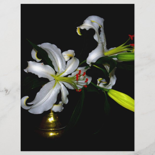 Papier Conception Irlandaise - Dessin de Fleur et de Cuiv (Devant)