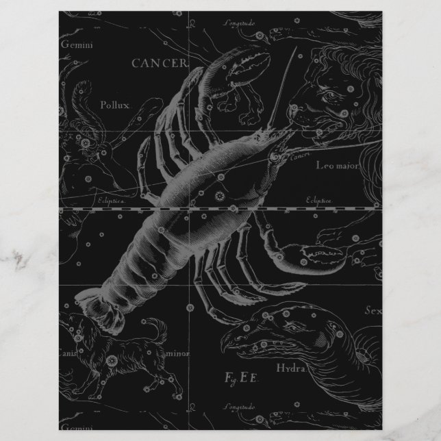 Papier Constellation du Cancer Hevelius 1690 sur fond noi (Devant)