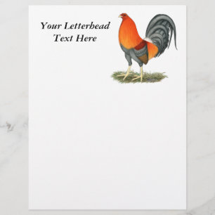 Papier Coq de combat bleu rouge