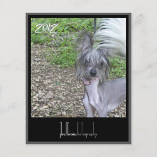 Papier couverture frontale du calendrier 2012