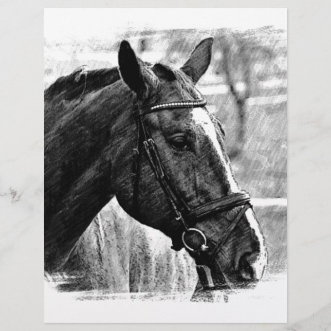 Papier Croquis noir blanc (Devant)