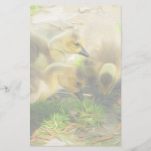 Papier Cute Gosling