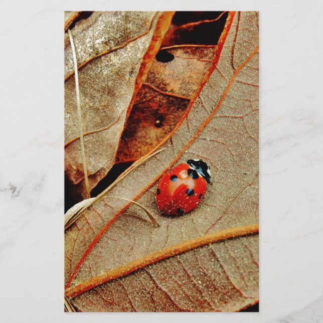 Papier cute Ladybug costume (Devant)