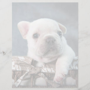 Papier Cutest Baby Animals French Bulldog