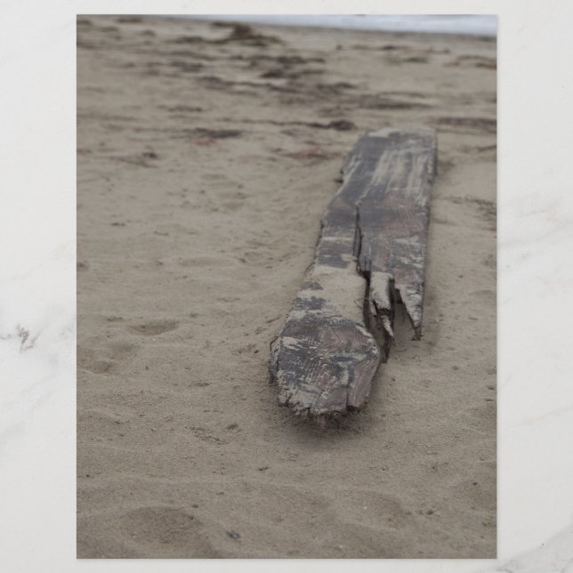 Papier De la mer (Devant)