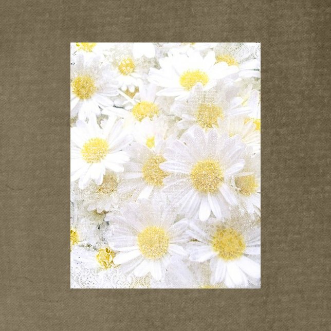Papier de la série Daisies (Créateur téléchargé)