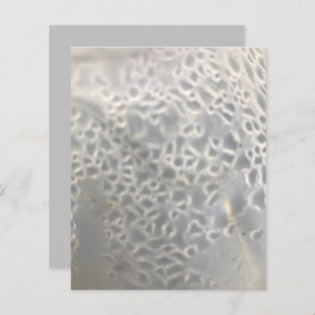 Papier de papier de scrapbook blanc gris clair (Devant / Derrière)