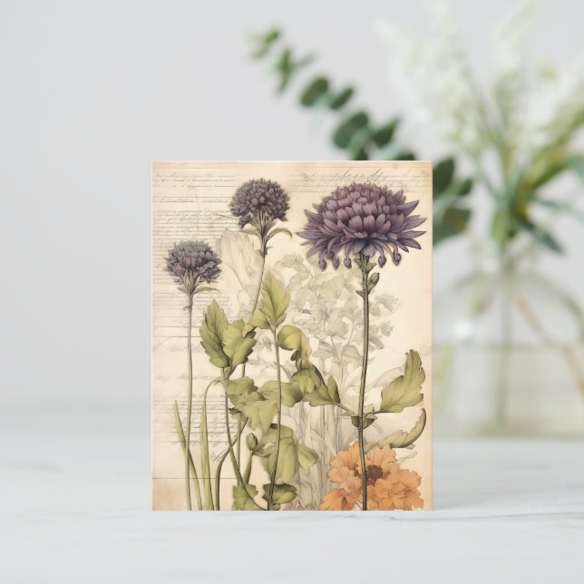 Papier de scrapbook botanique herbacé vintage (Debout devant)