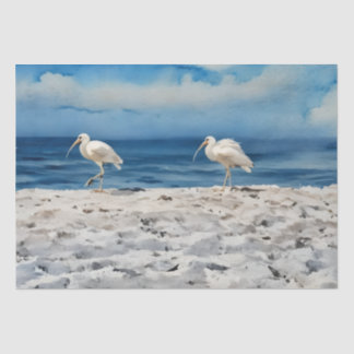 Papier de soie 10lb 14 x 20 Oiseaux de plage