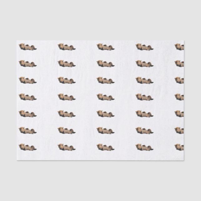 Papier de soie de la soie 10lb fait sur commande, (Recto)