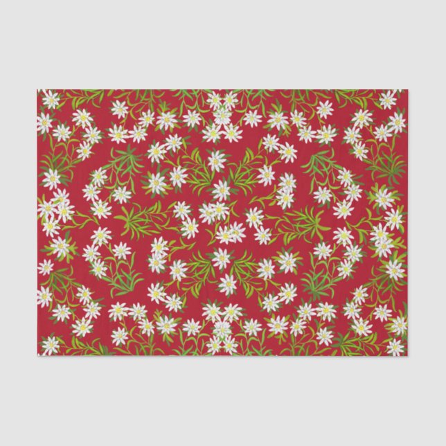 Papier de soie de soie alpin de fleurs d'edelweiss (Recto)