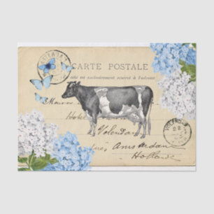 Papier de soie de soie bleu de carte postale de