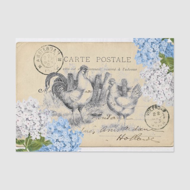 Papier de soie de soie bleu de carte postale de (Recto)