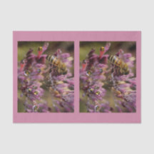 Papier de soie de soie d'abeilles de bulle