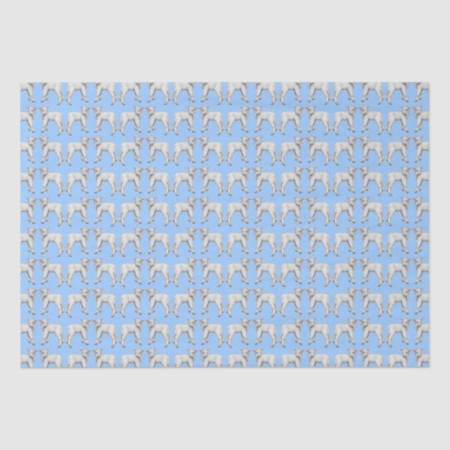 Papier de soie de soie d'agneau de bébé bleu (Recto)