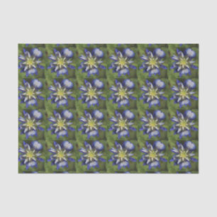 Papier de soie de soie de Bluebonnet de Texas
