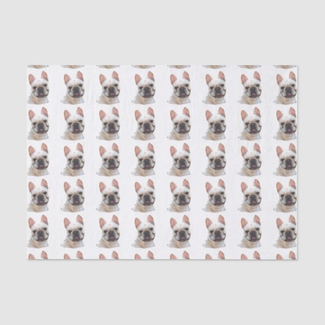 Papier de soie de soie de bouledogue français (Recto)