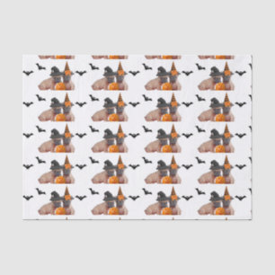 Papier de soie de soie de bouledogue français de