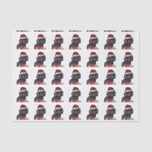 Papier de soie de soie de chien de caniche de Noël (Recto)
