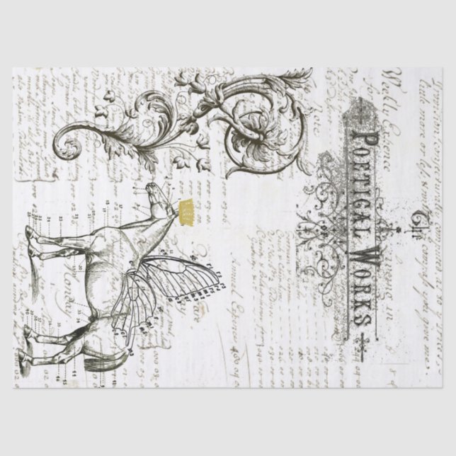 Papier de soie de soie de collage de Digitals de (Recto)