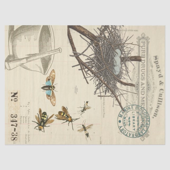 Papier de soie de soie de Decoupage d'apothicaire (Recto)