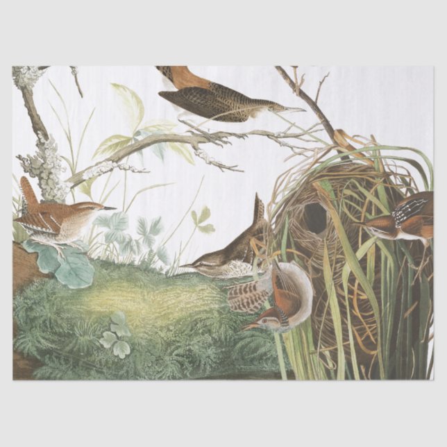 Papier de soie de soie de faune d'oiseaux de nid (Recto)